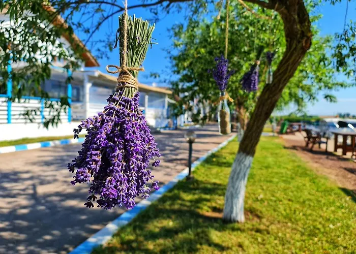 Casa Pescarilor 3* Lunca (Dobruja)